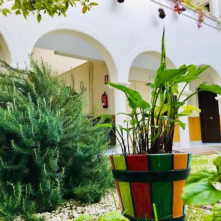 Duplex Con Encanto En Centro Historico De Cordoba. La Corredera.