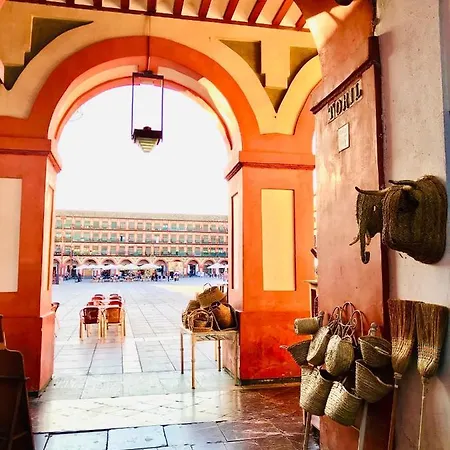 Duplex Con Encanto En Centro Historico De Cordoba. La Corredera. Apartment Cordoba