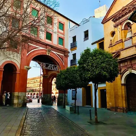 Duplex Con Encanto En Centro Historico De Cordoba. La Corredera. *