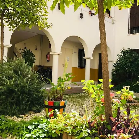 Duplex Con Encanto En Centro Historico De Cordoba. La Corredera. Cordoba