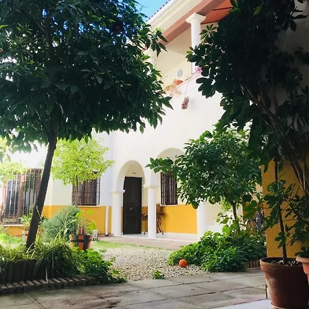Duplex Con Encanto En Centro Historico De Cordoba. La Corredera. *